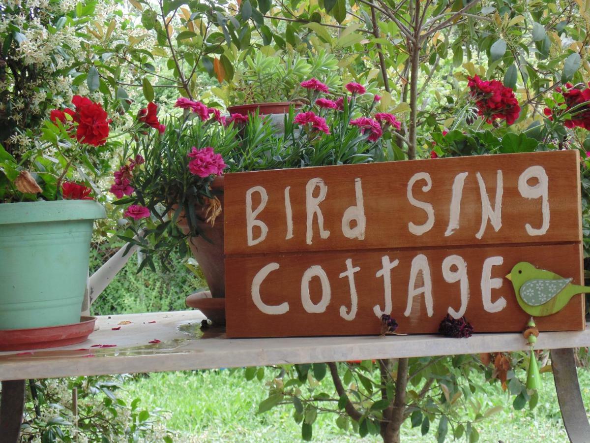 Birdsing Cottage Dassia  Buitenkant foto